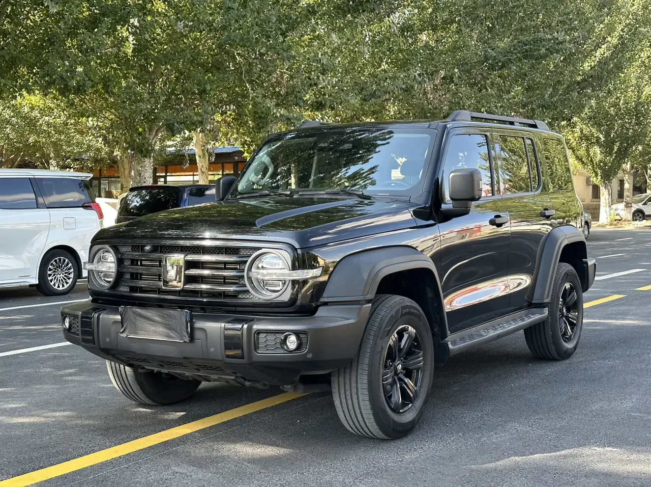 TANK 300