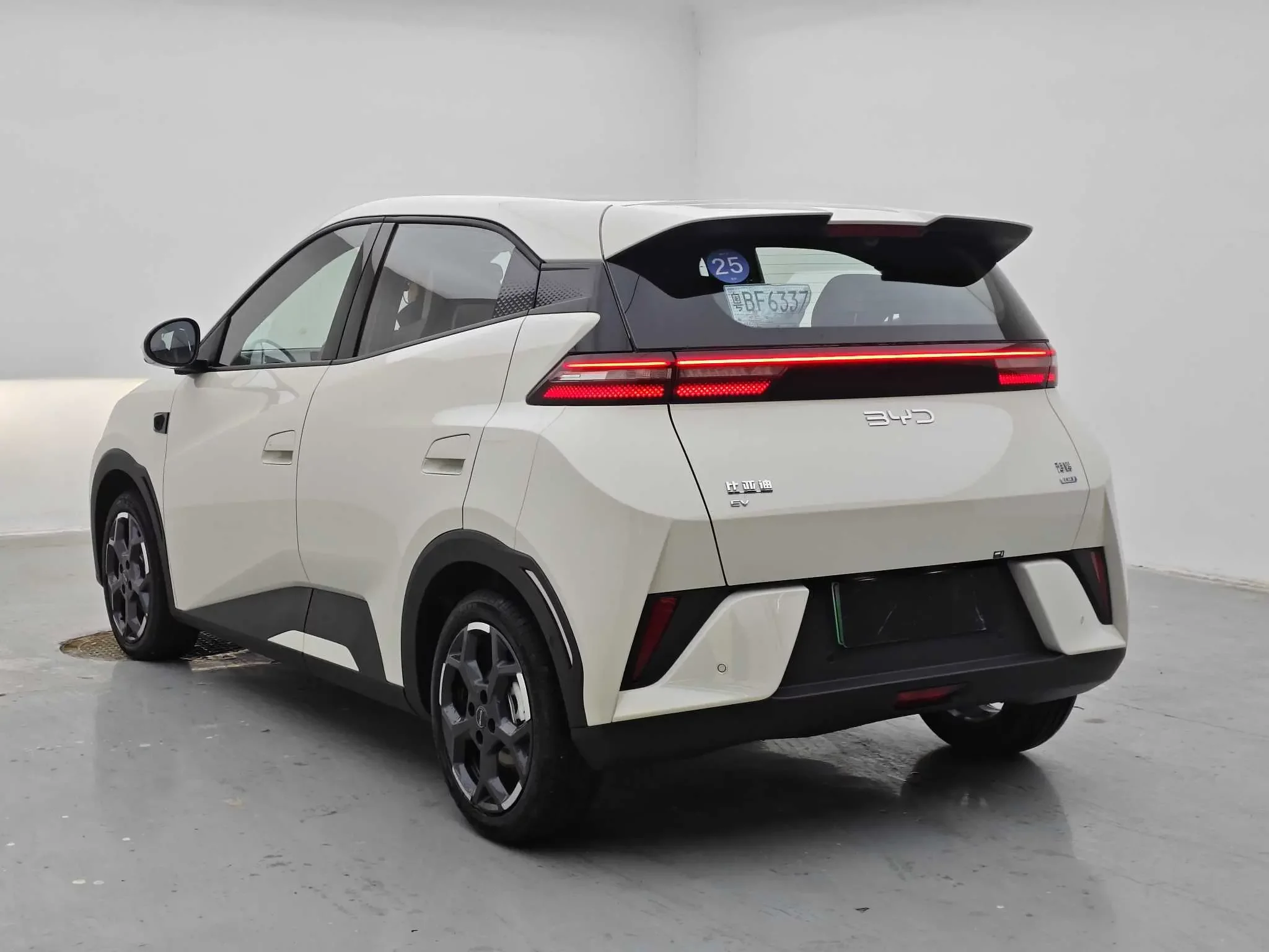 BYD Seagull