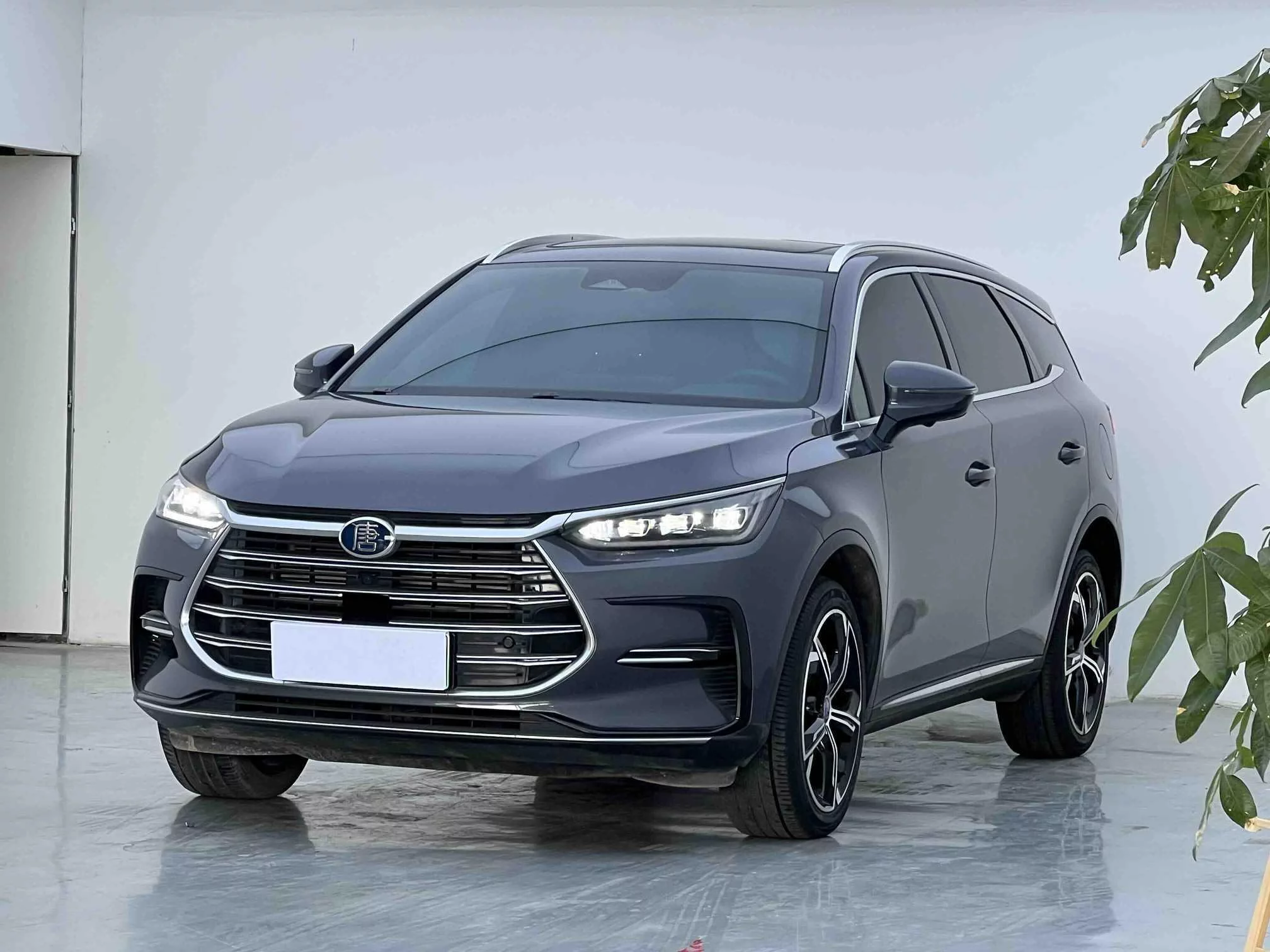 BYD Tang DM