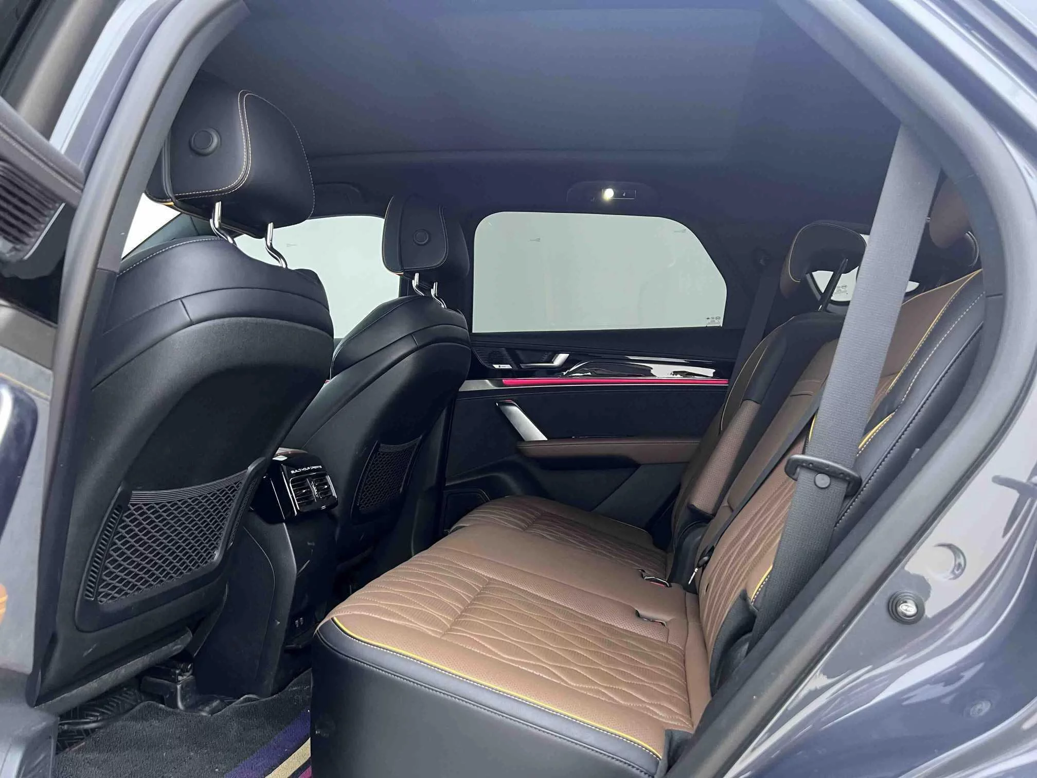 BYD Tang DM