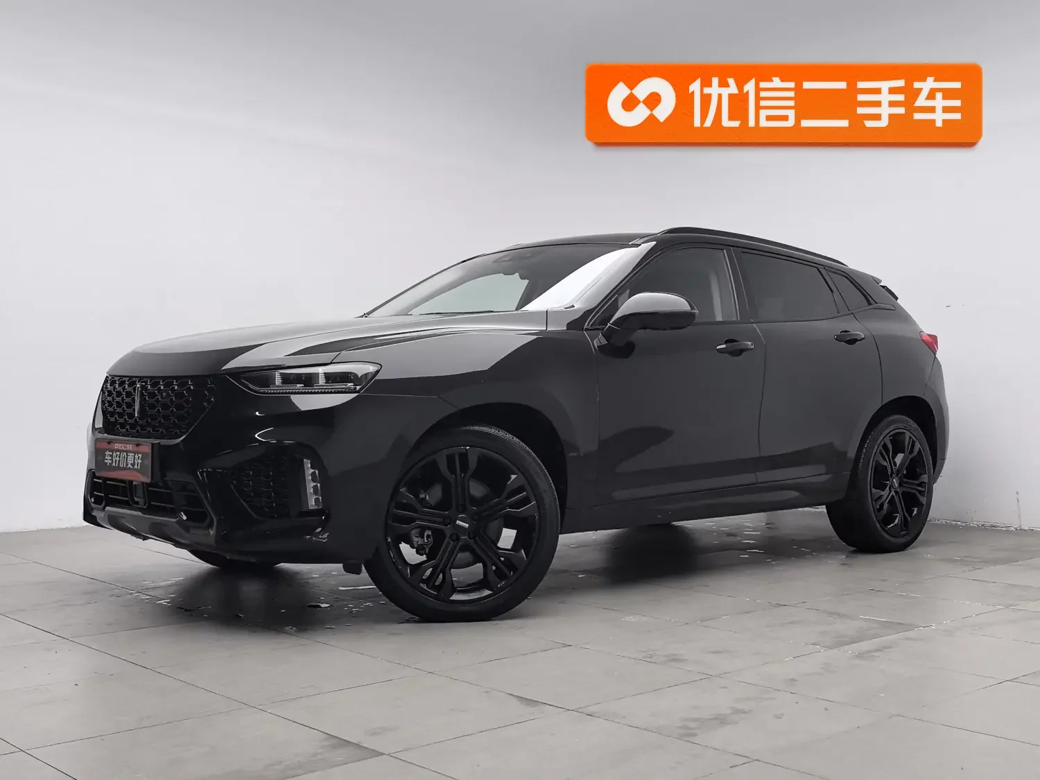 Wey Wei brand VV7