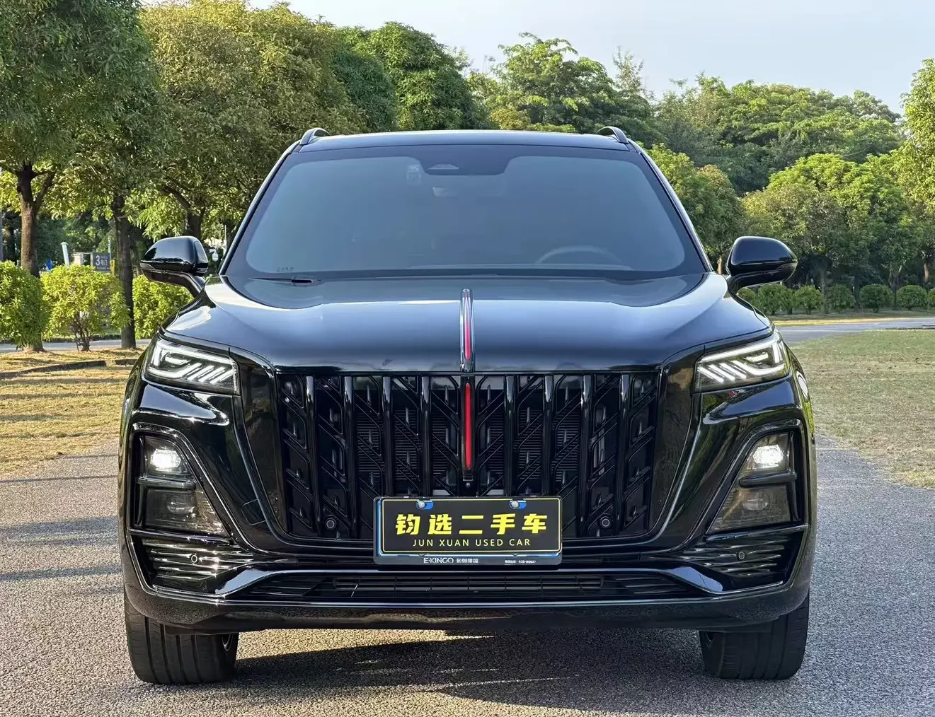 Hongqi HS5
