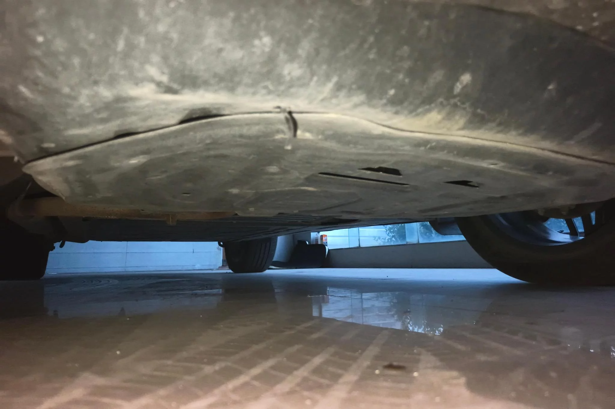 BYD Tang DM