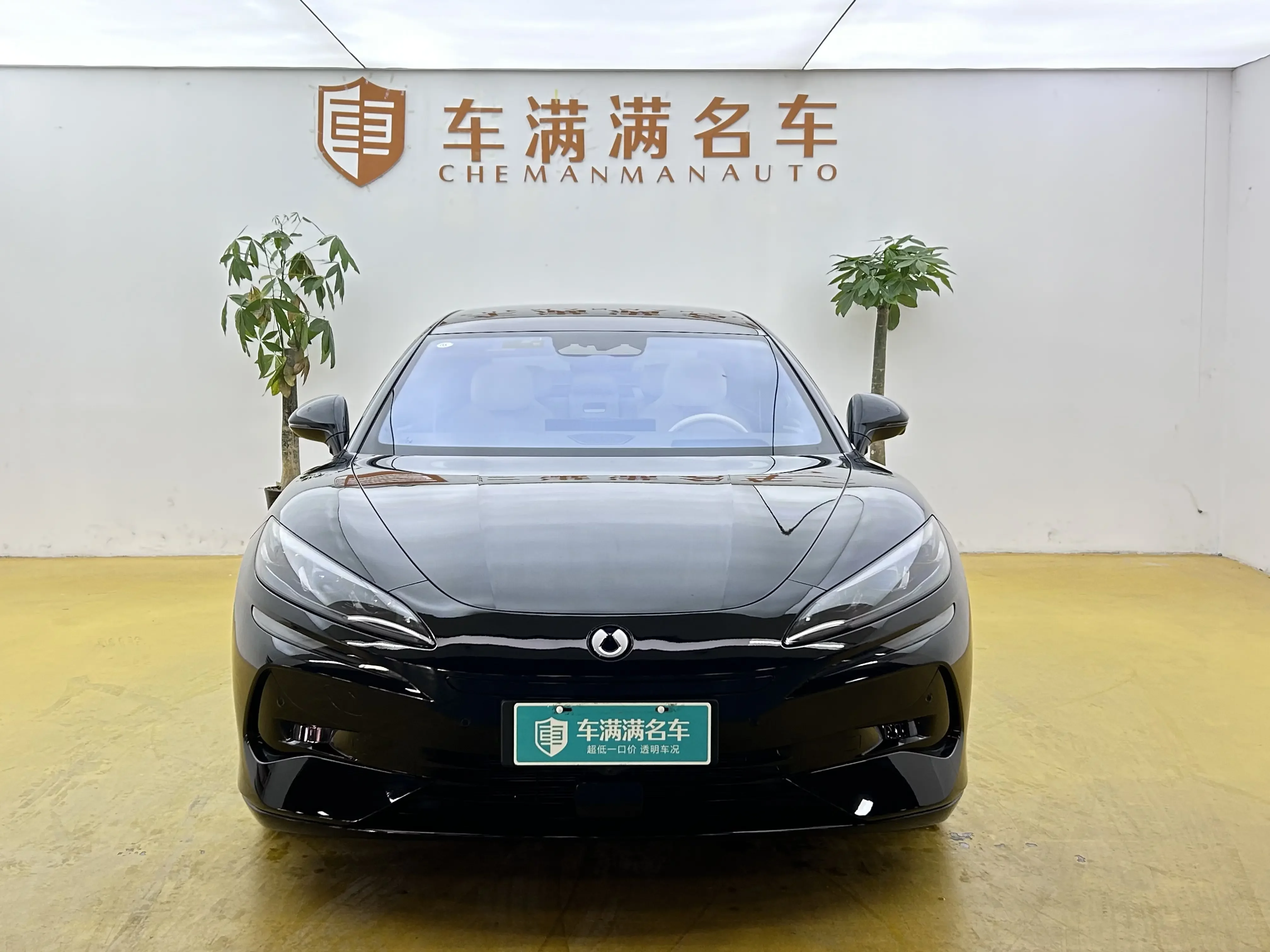 Denza Tengzhong Z9 DM