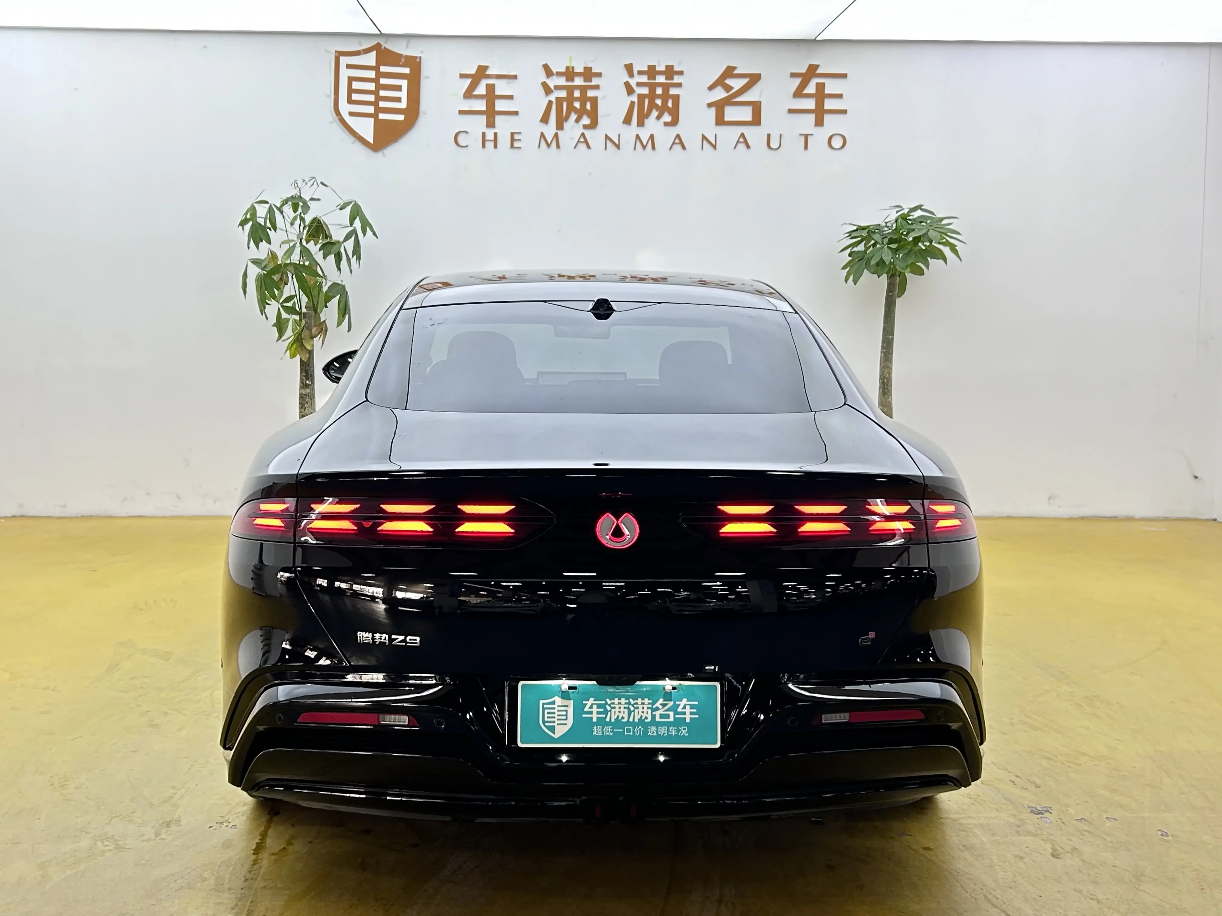 Denza Tengzhong Z9 DM