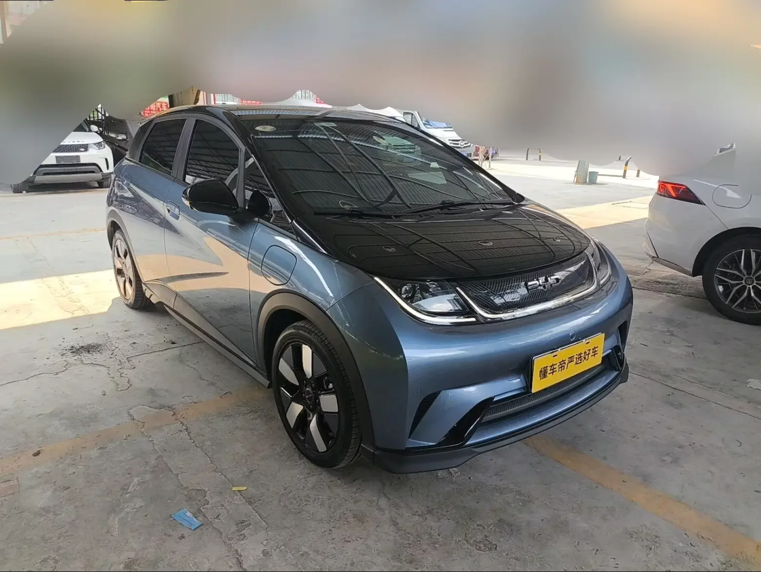 BYD Dolphin