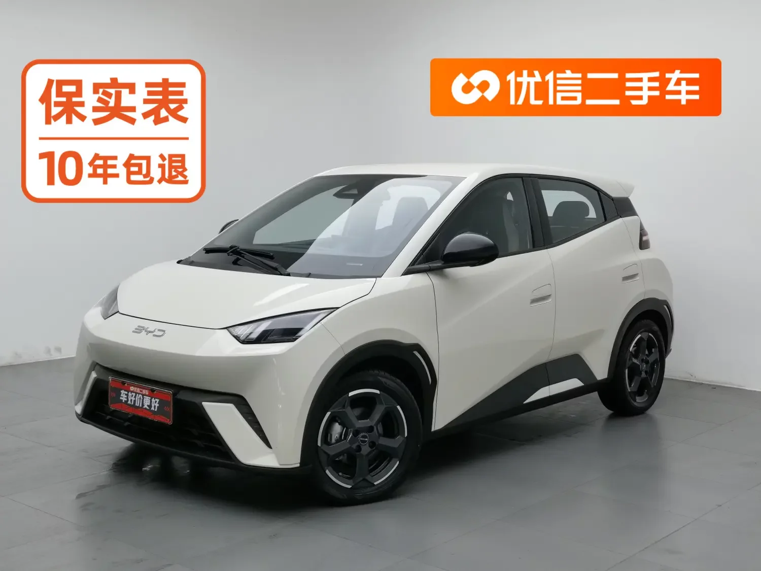 BYD Seagull