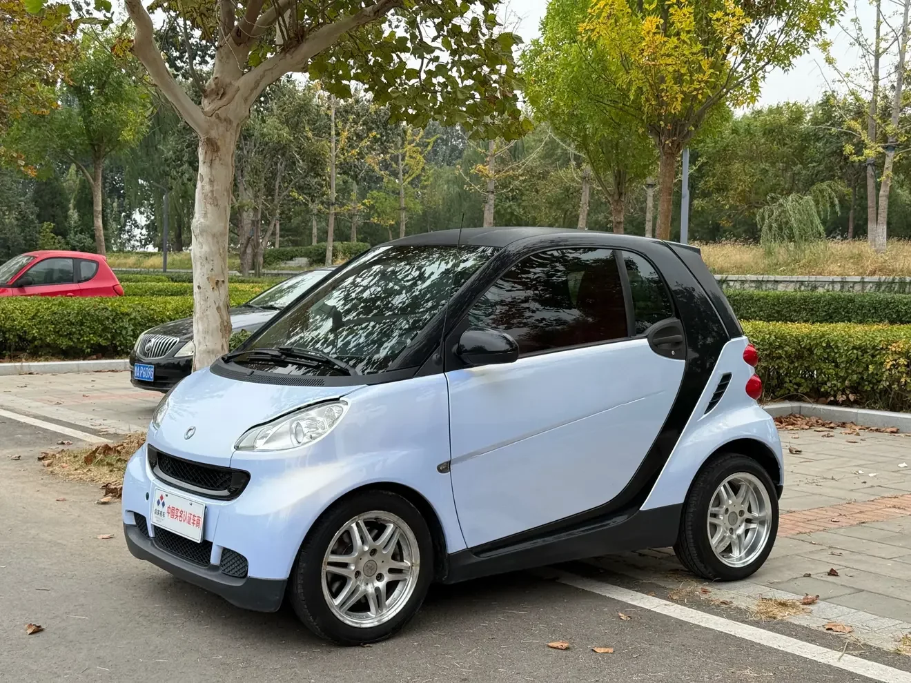smart fortwo  из Китая