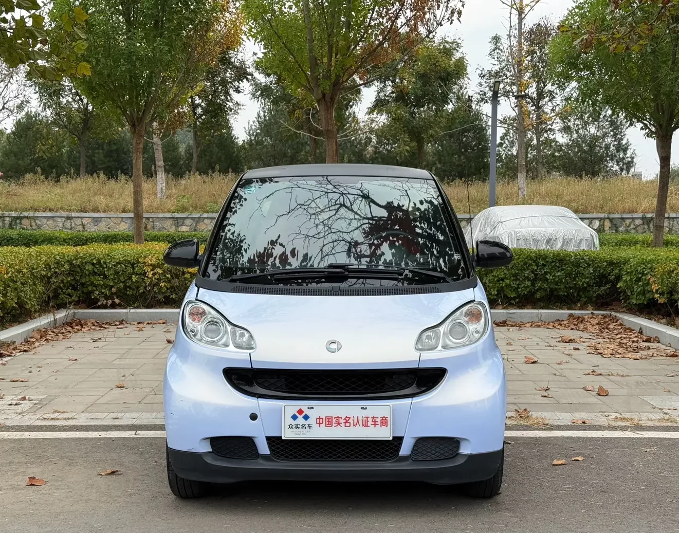 smart fortwo  из Китая