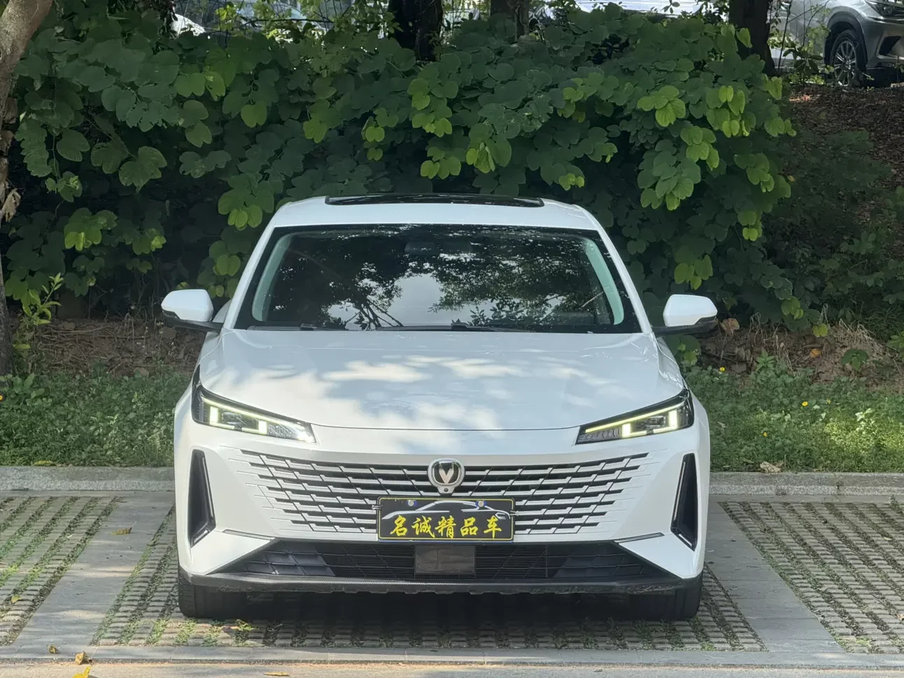 Changan Eado