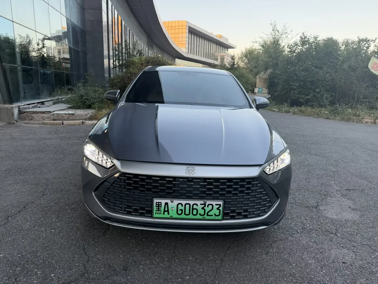 BYD Qin PLUS DM