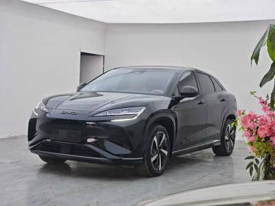 BYD Sea Lion 07EV, 2024 — купить с доставкой из Китая