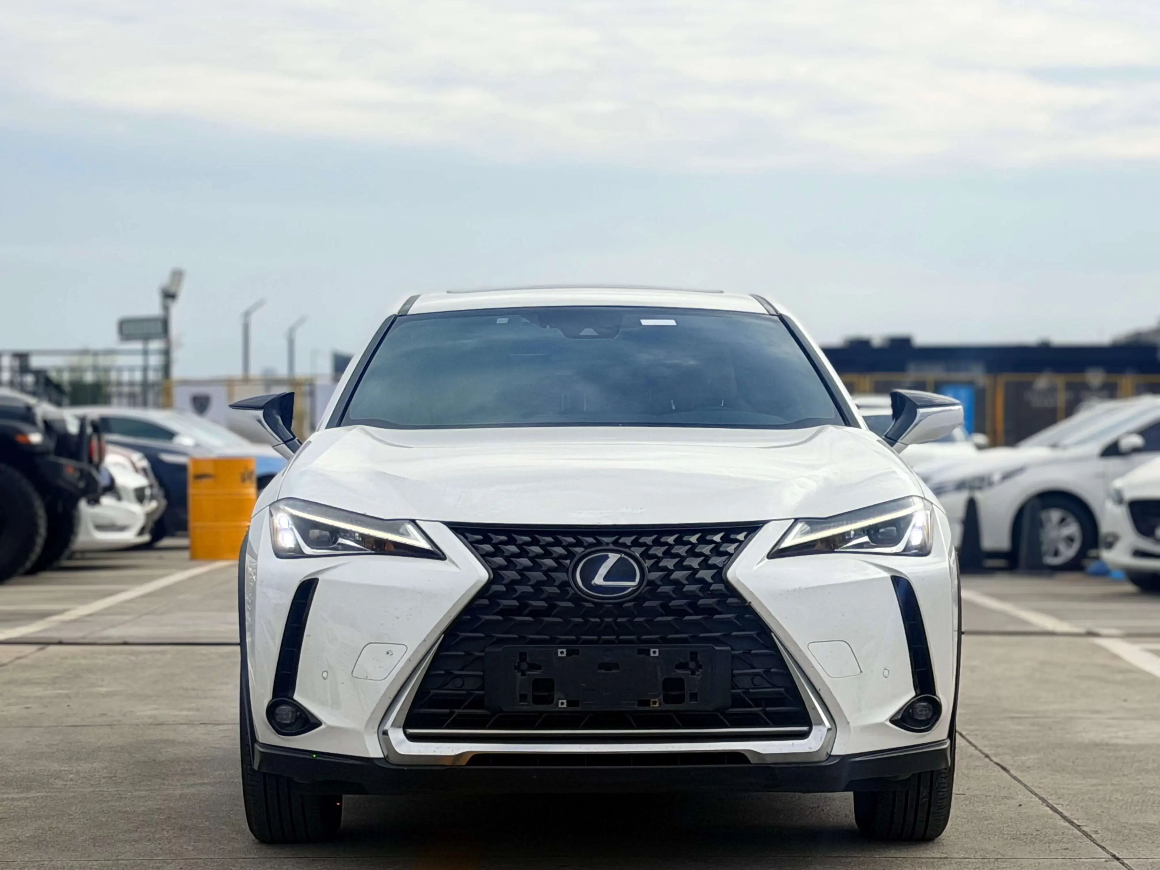 Lexus UX EV