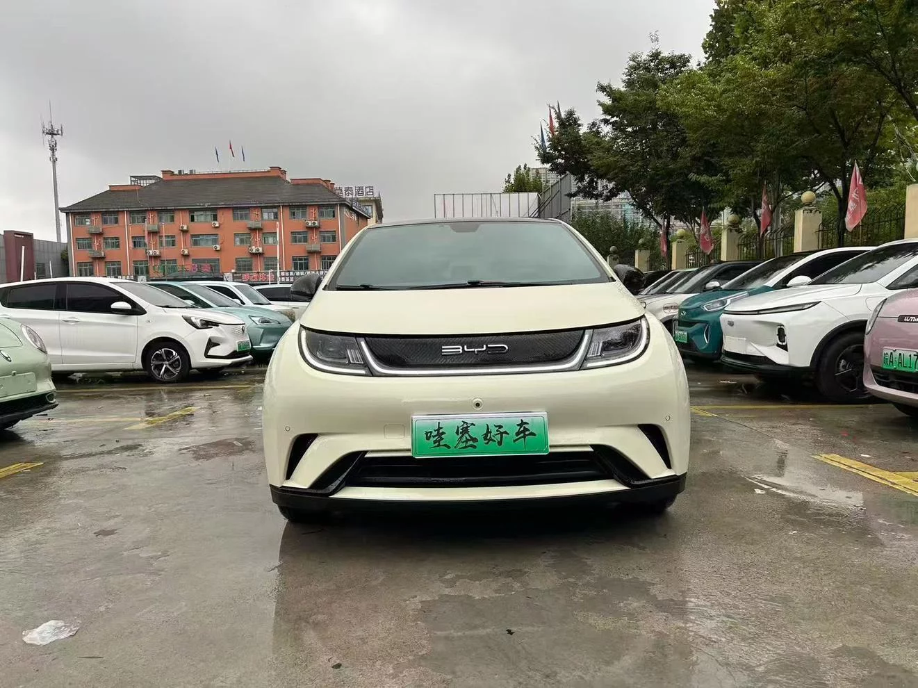 BYD Dolphin