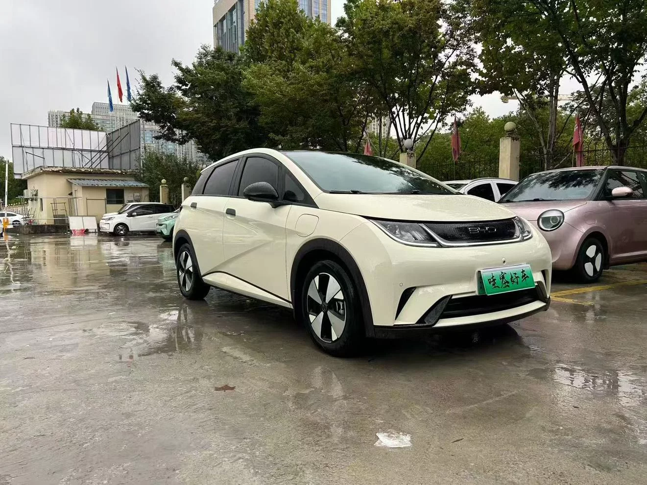 BYD Dolphin