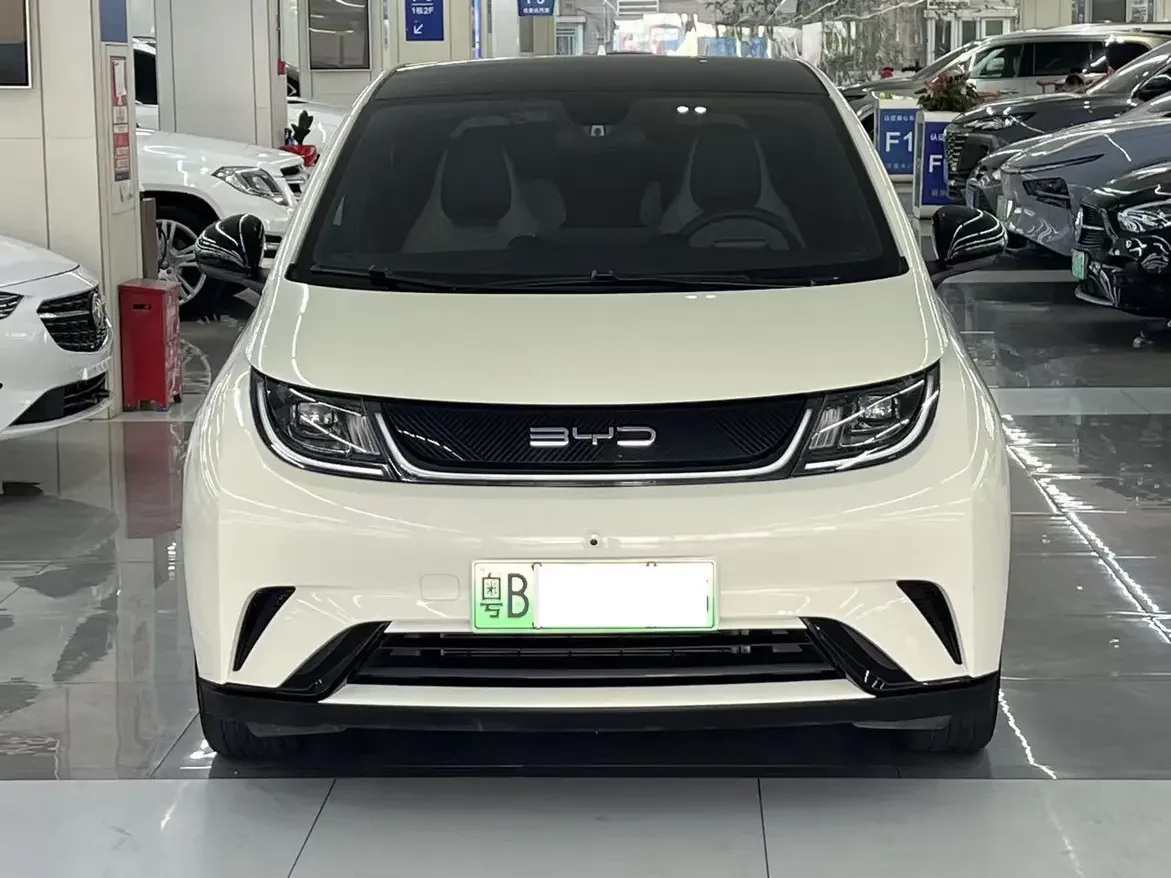 BYD Dolphin