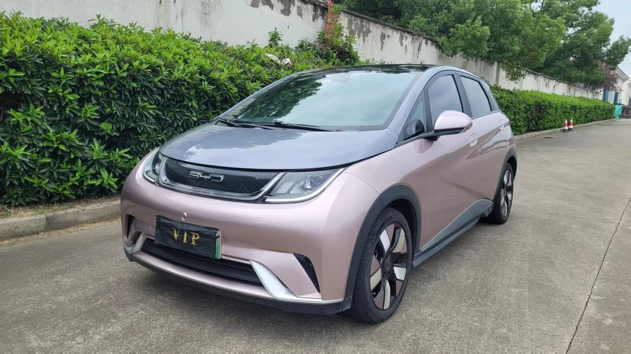 BYD Dolphin