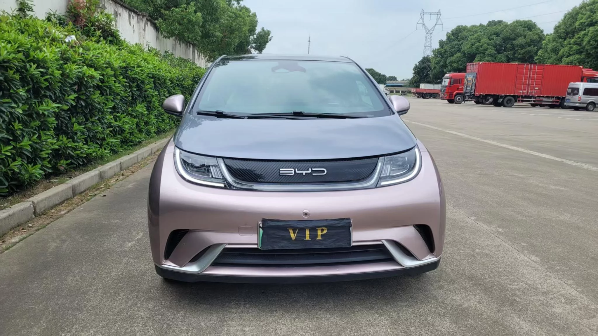 BYD Dolphin