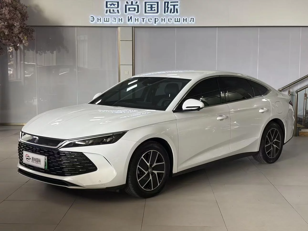 BYD Qin L DM