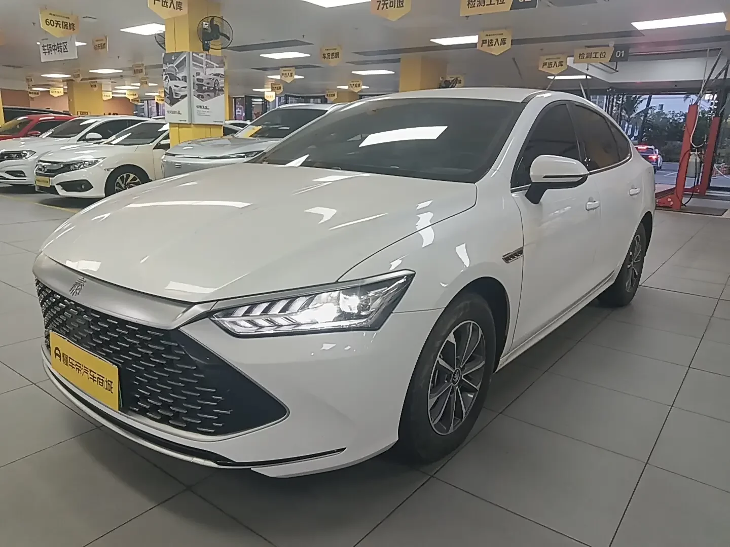 BYD Qin PLUS DM