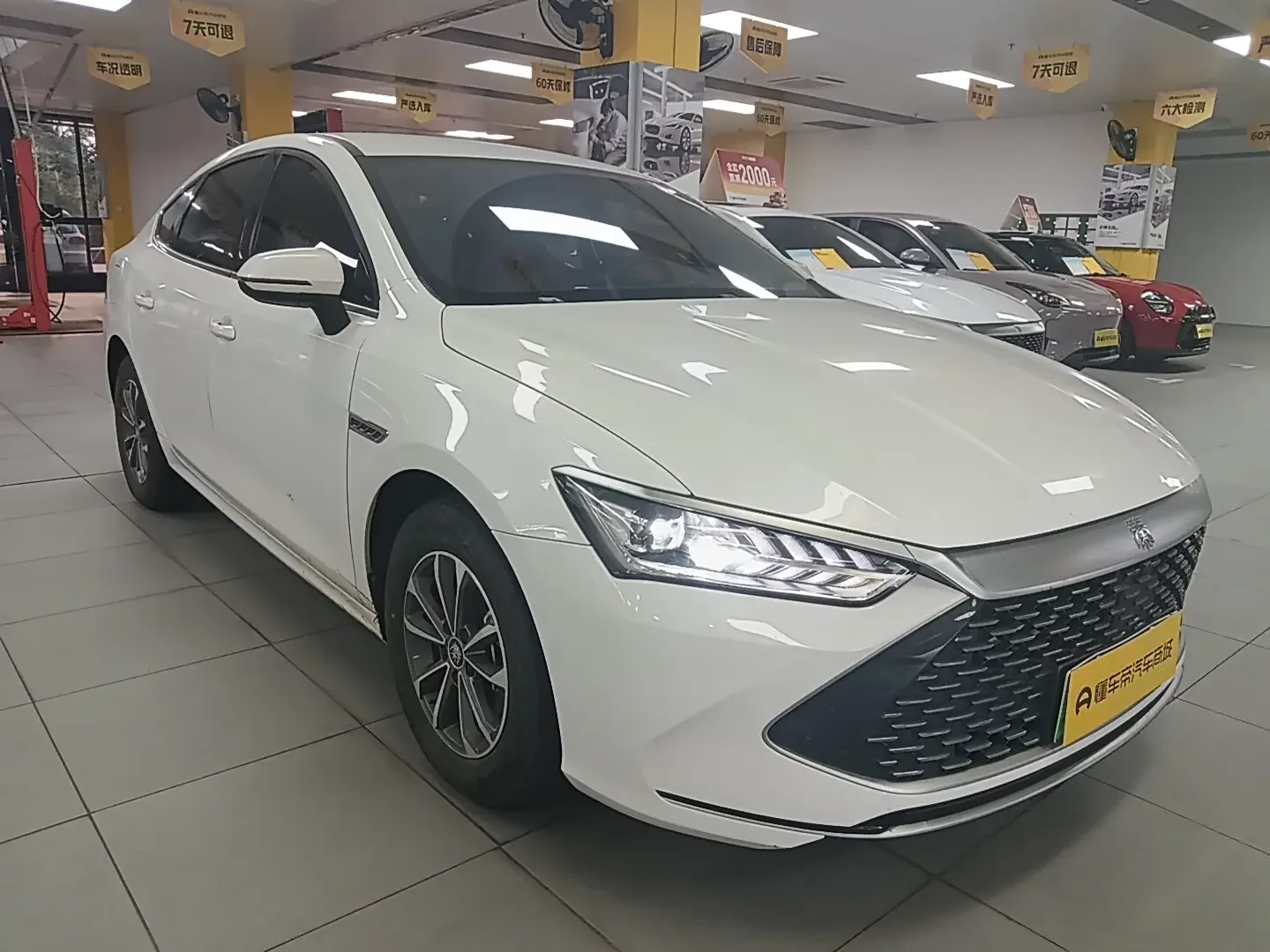 BYD Qin PLUS DM