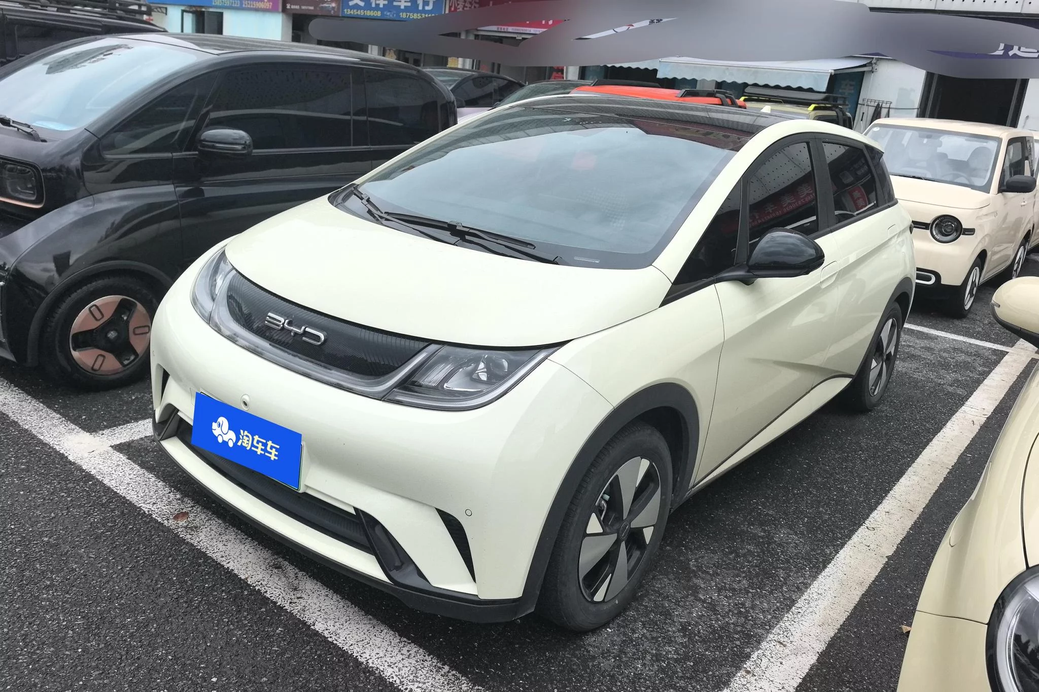 BYD Dolphin