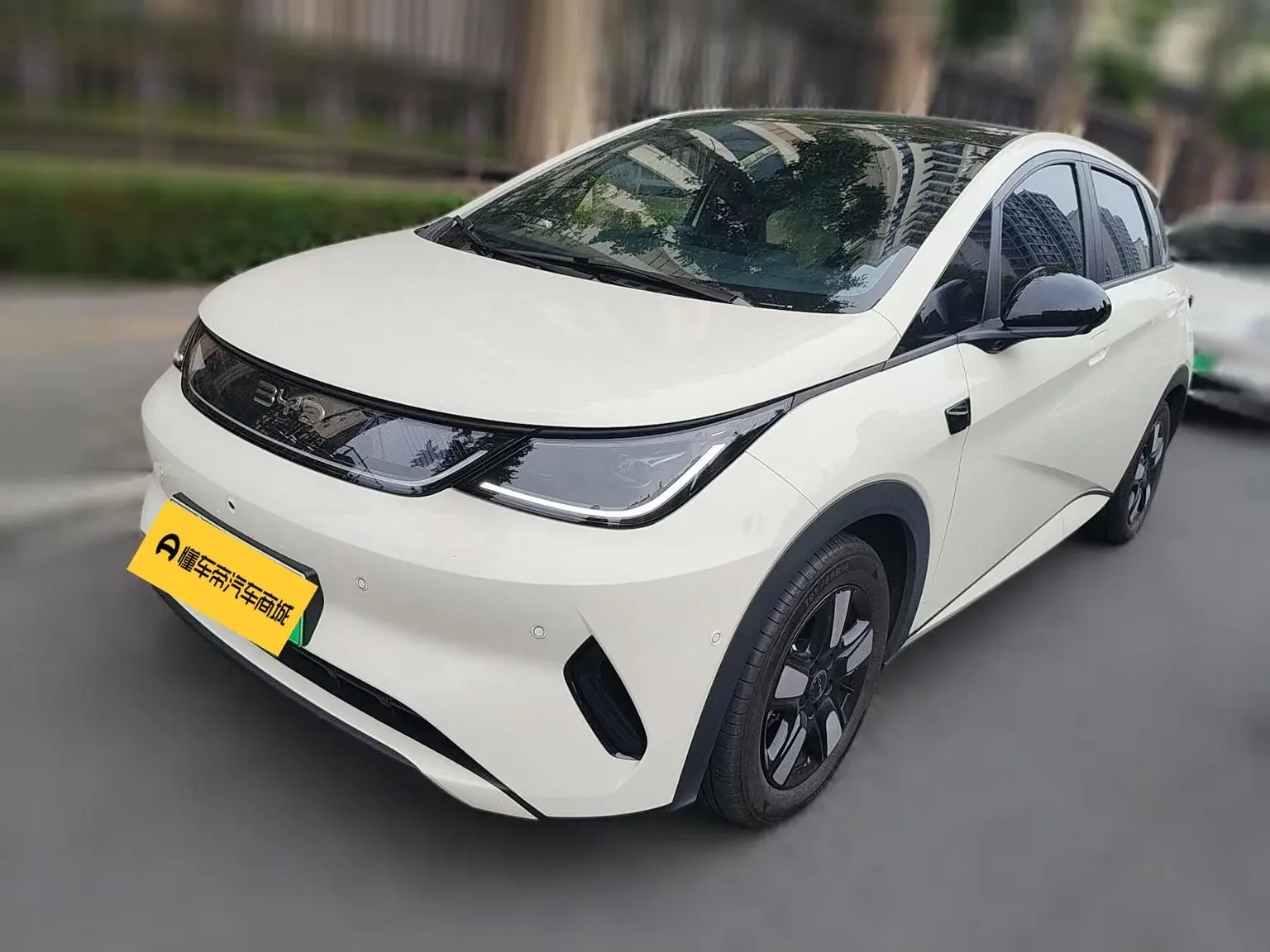 BYD Dolphin
