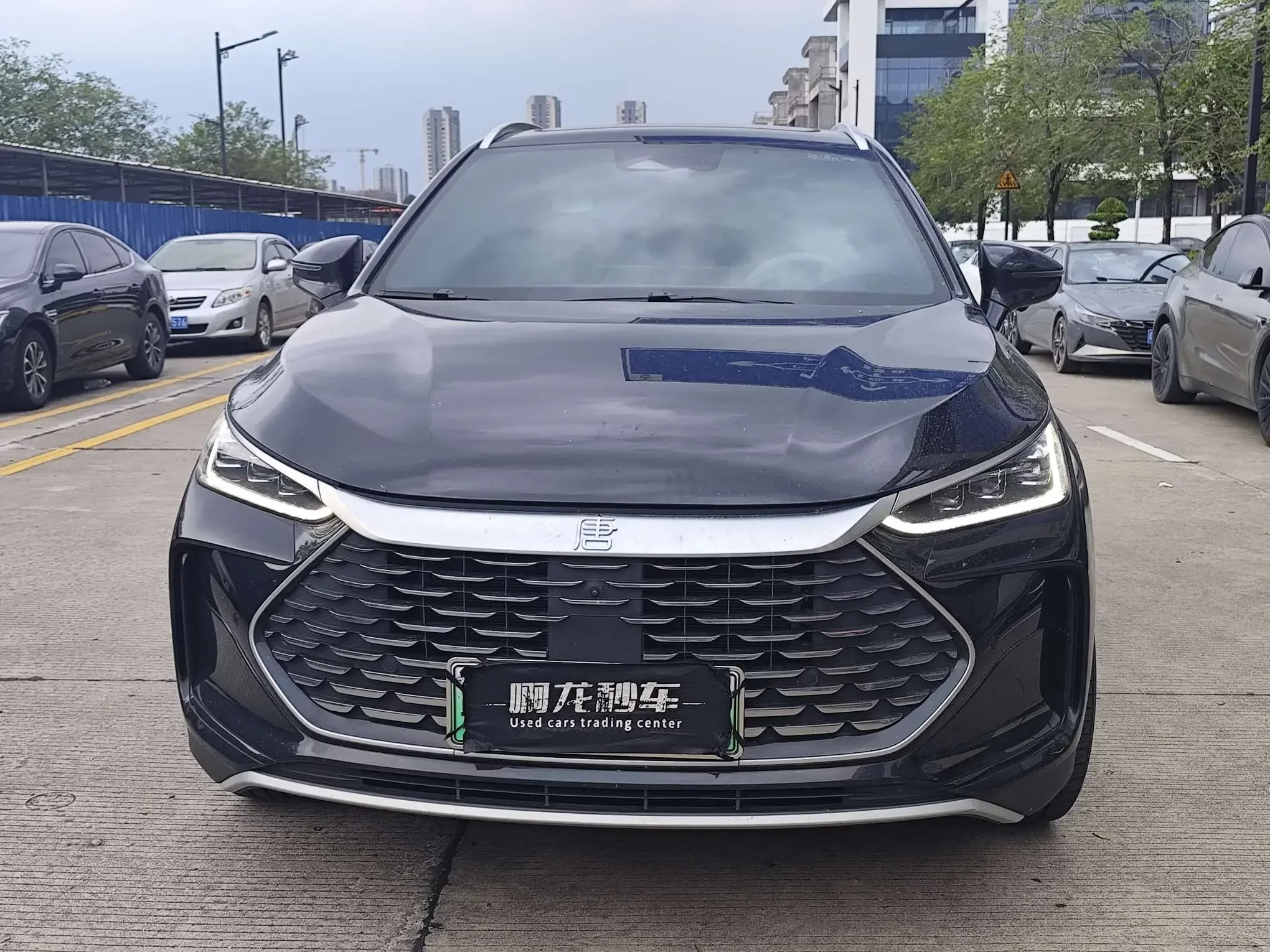 BYD Tang DM