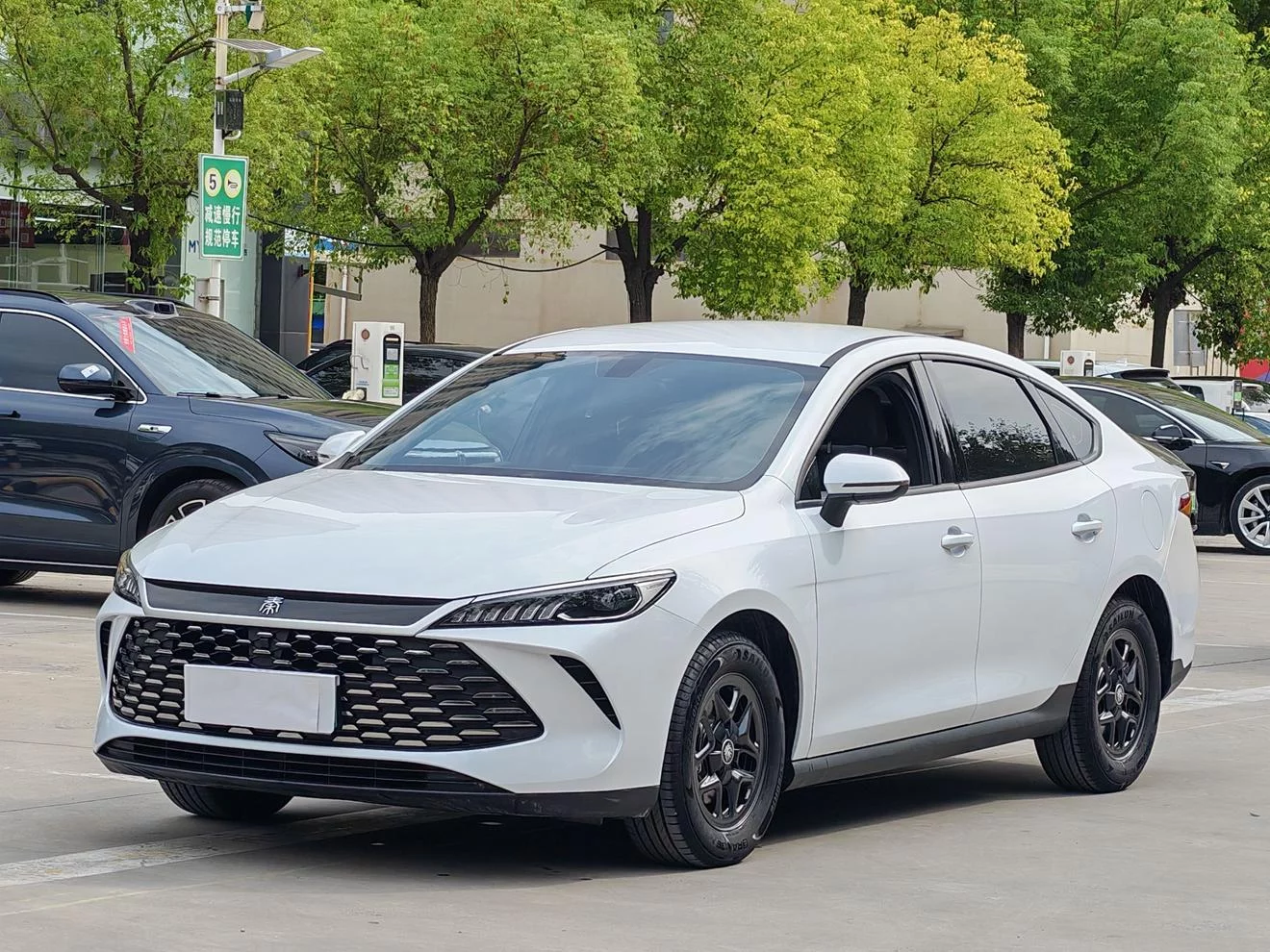 BYD Qin PLUS DM