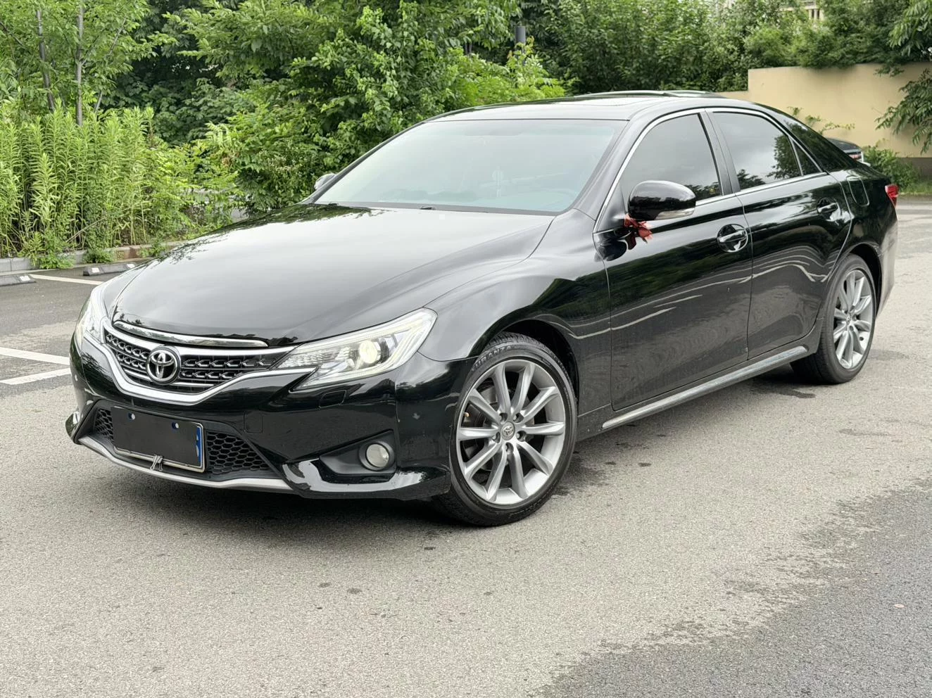 Toyota Ruizhi