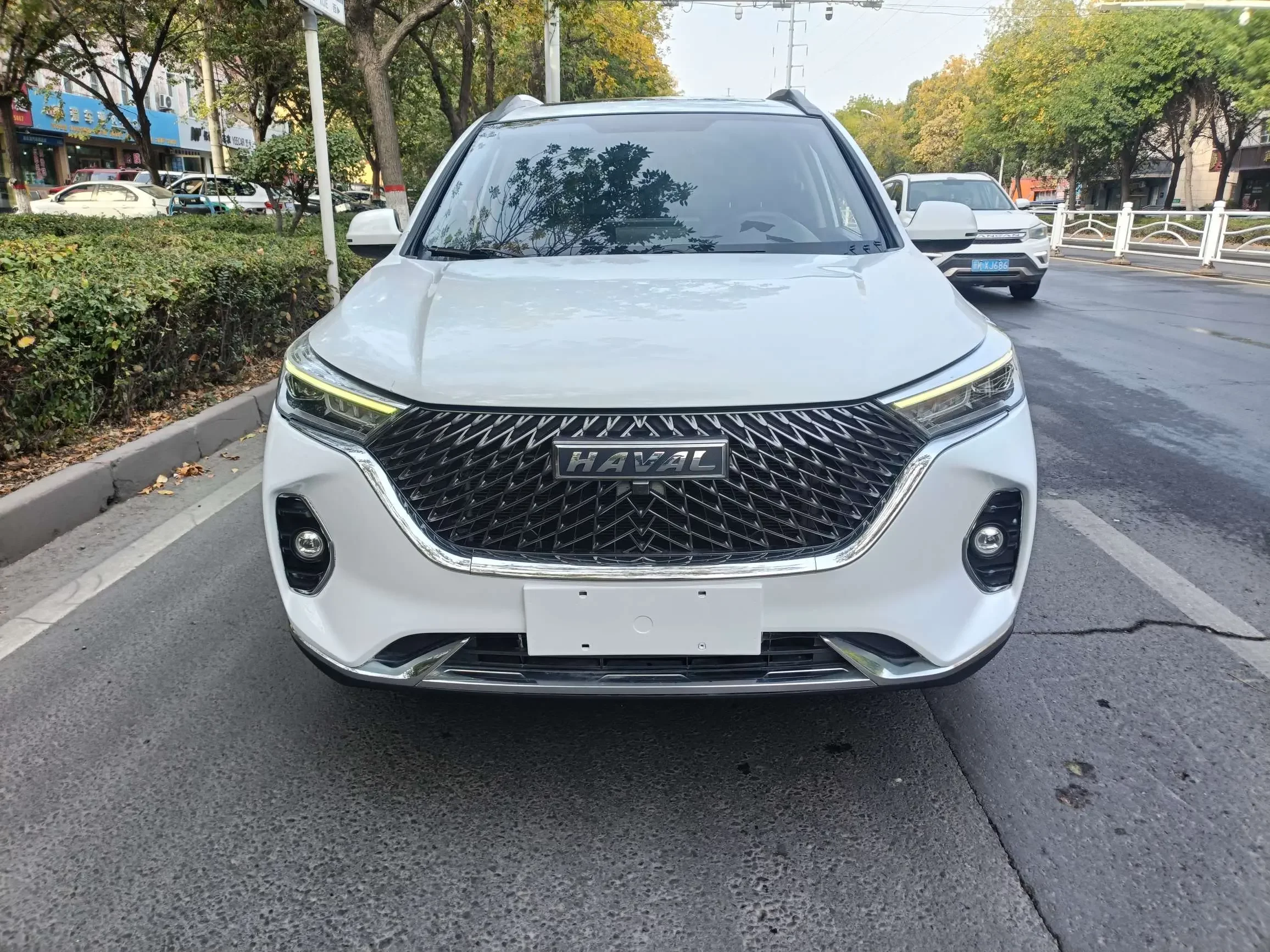 Haval M6