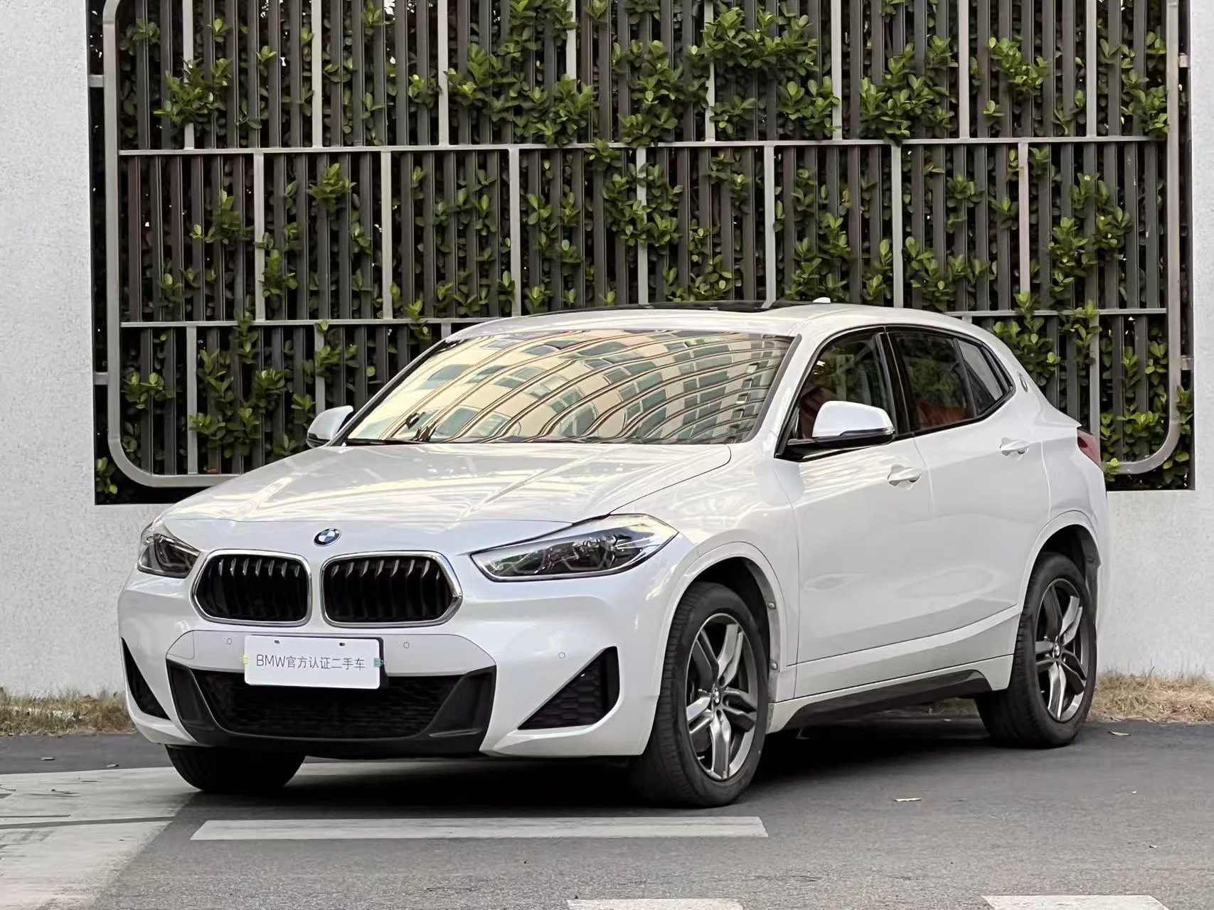 BMW X2