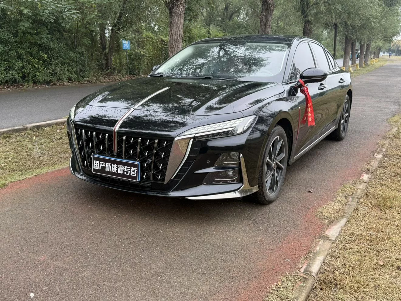 Hongqi H6