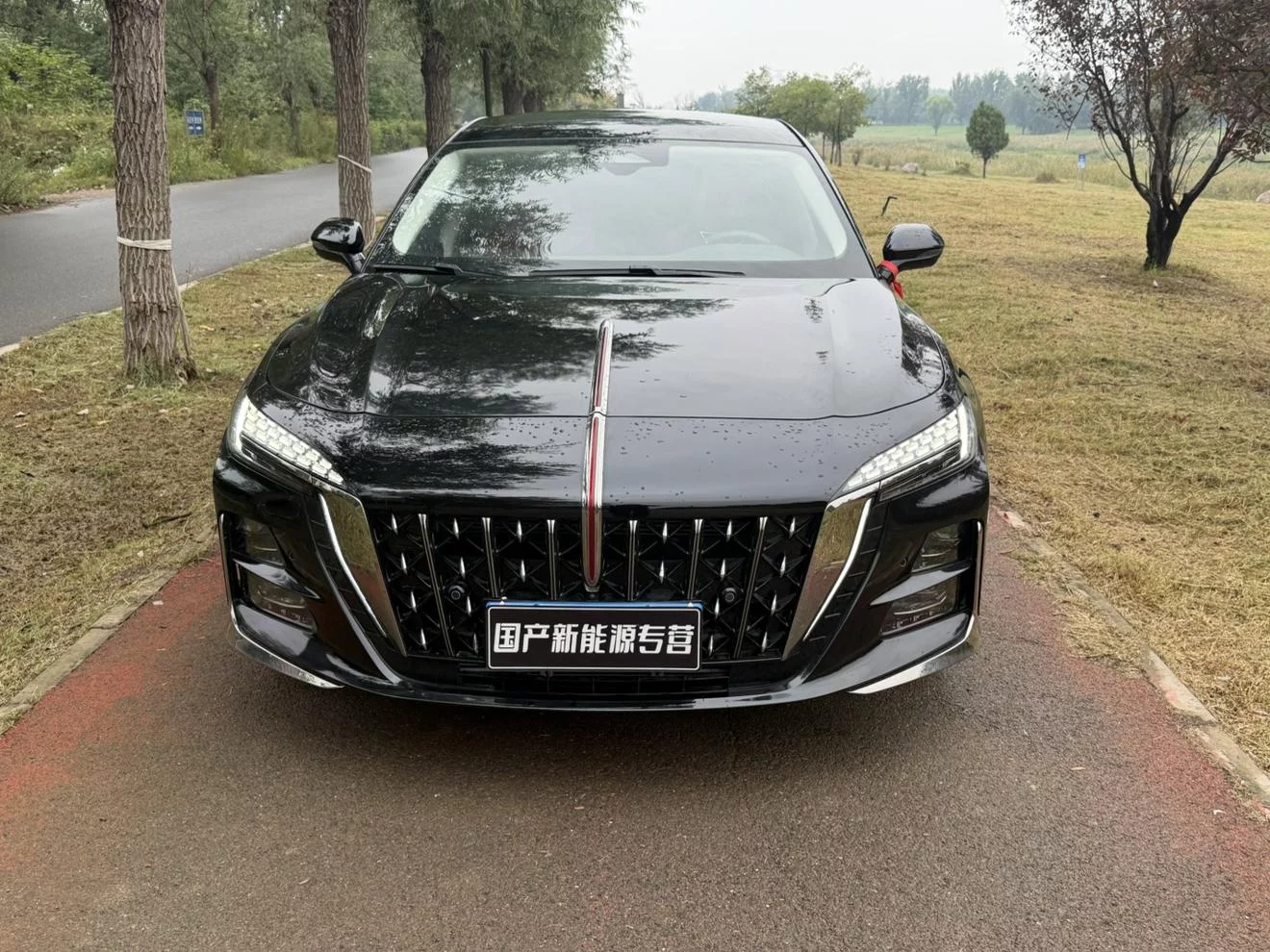 Hongqi H6