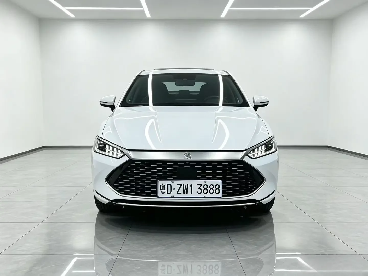 BYD Qin PLUS DM