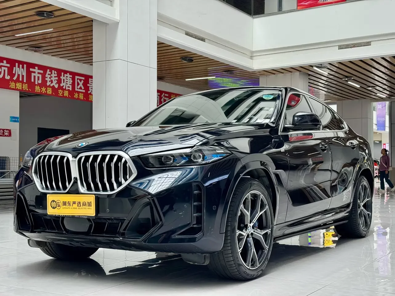 BMW X6