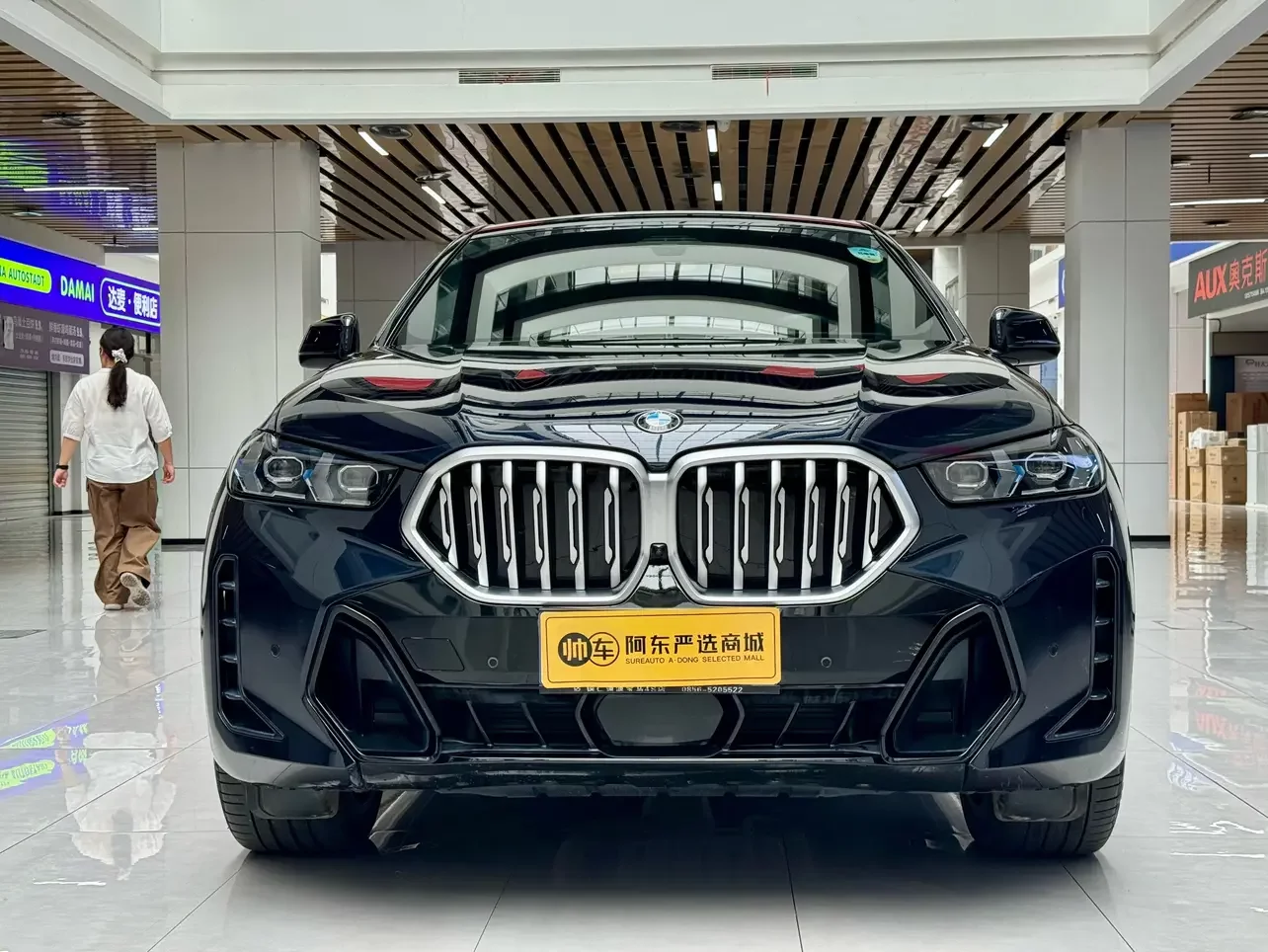 BMW X6