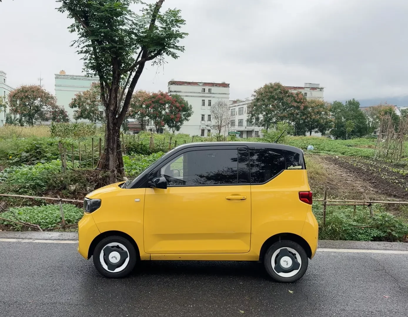 Wuling Hongguang MINIEV