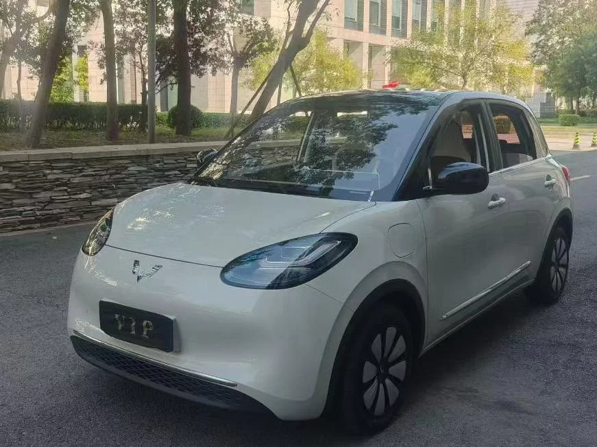 Wuling Bingo