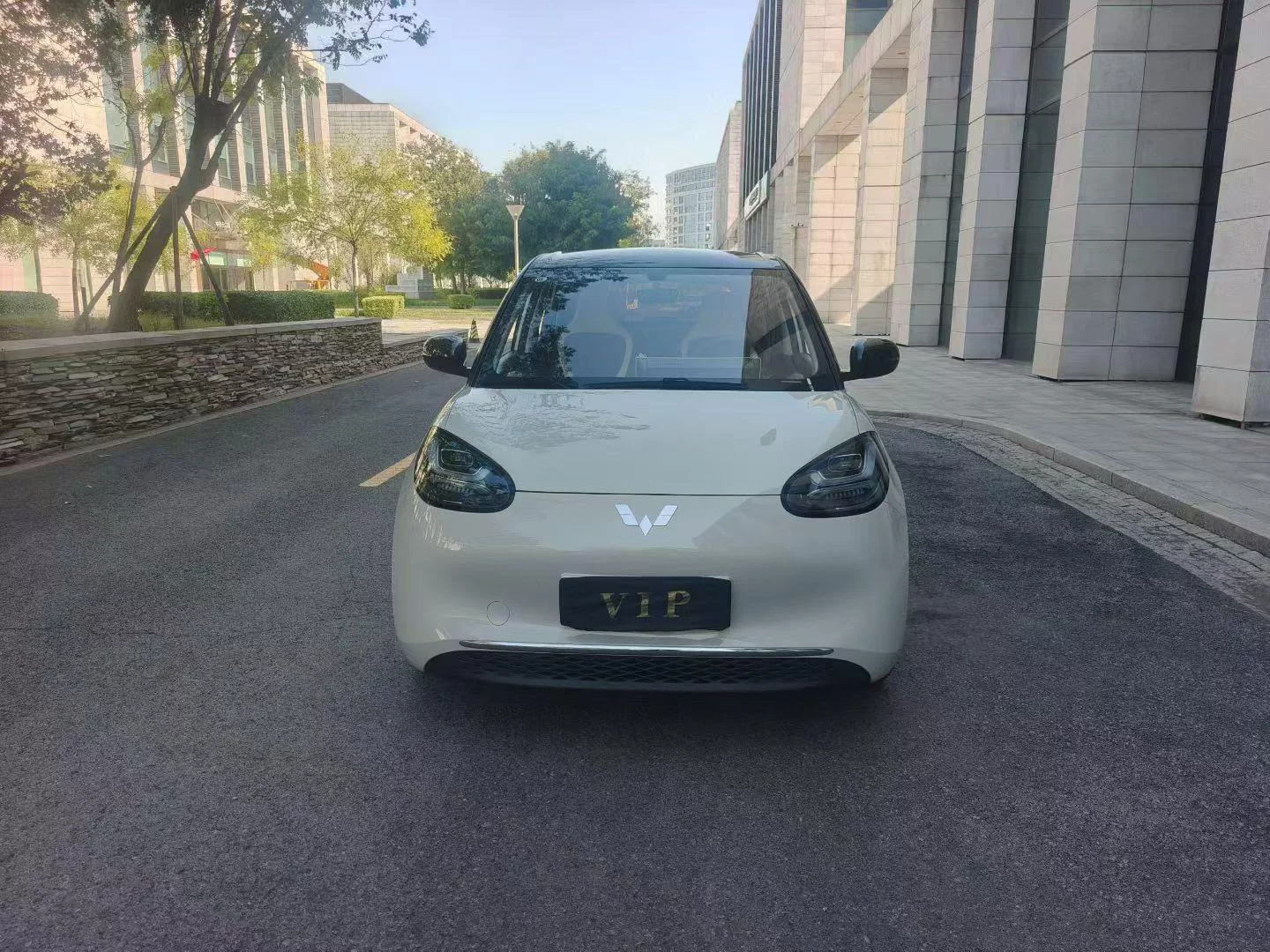 Wuling Bingo