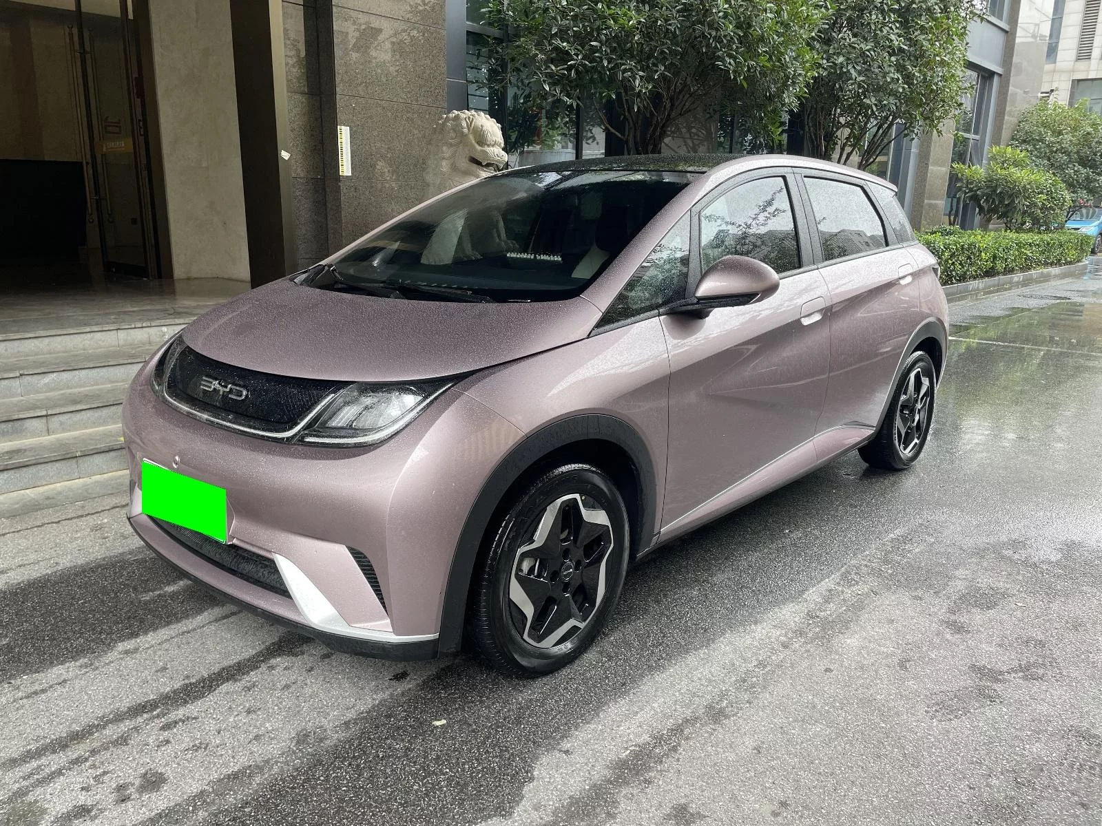 BYD DOLPHIN