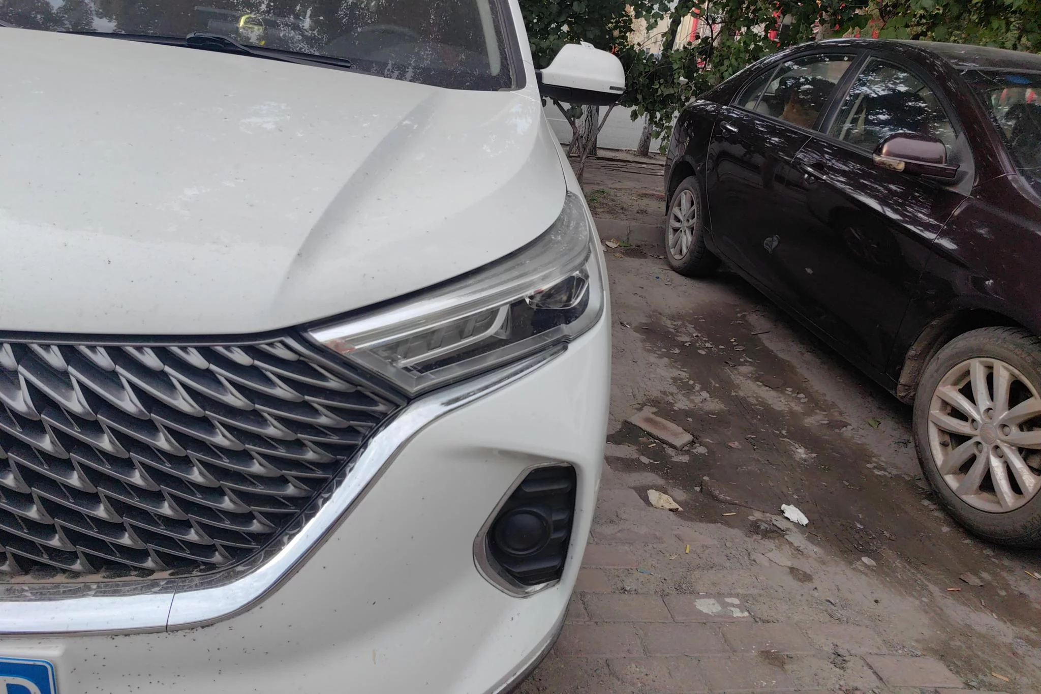 Haval M6  из Китая