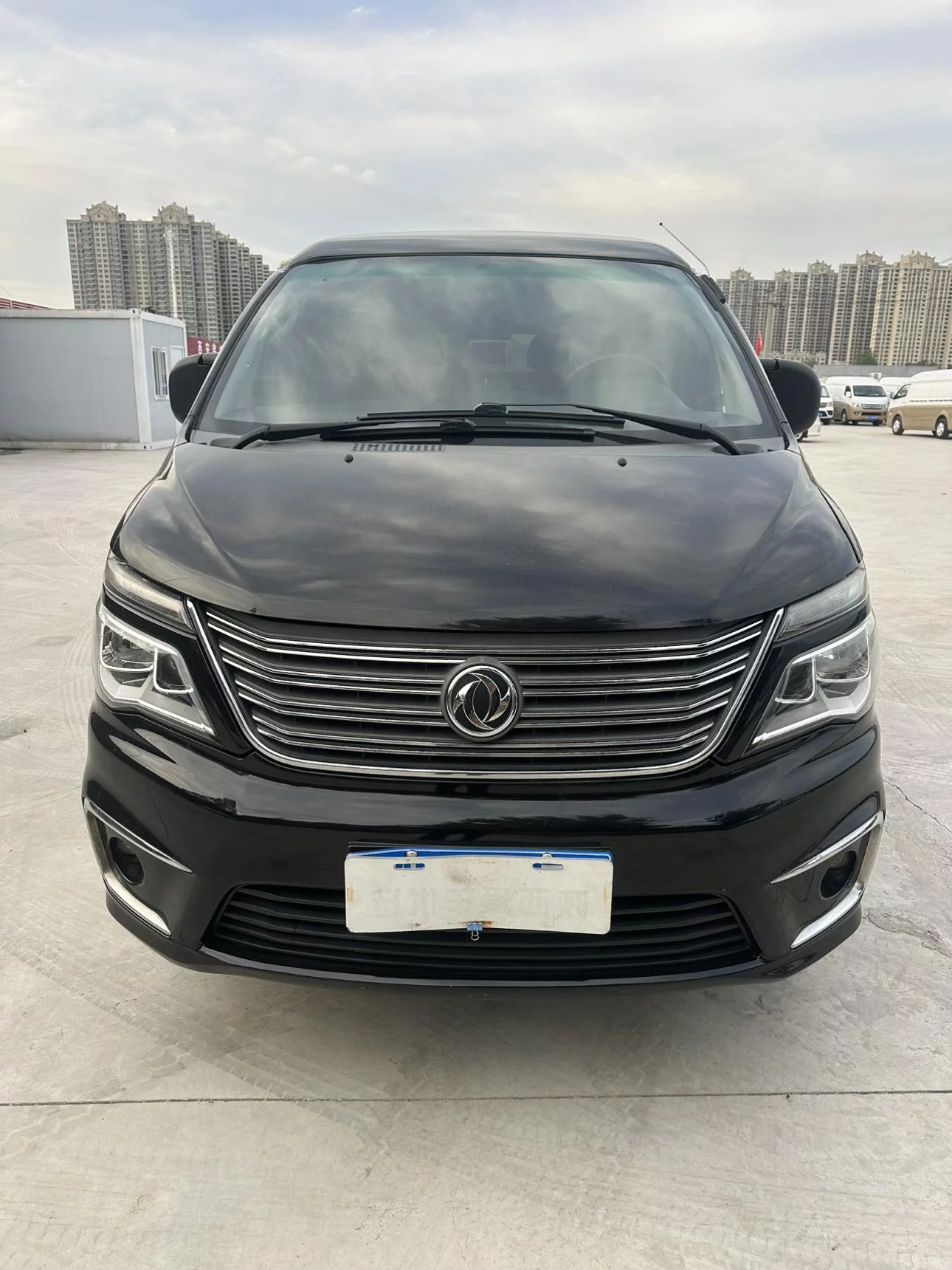 Forthing Lingzhi