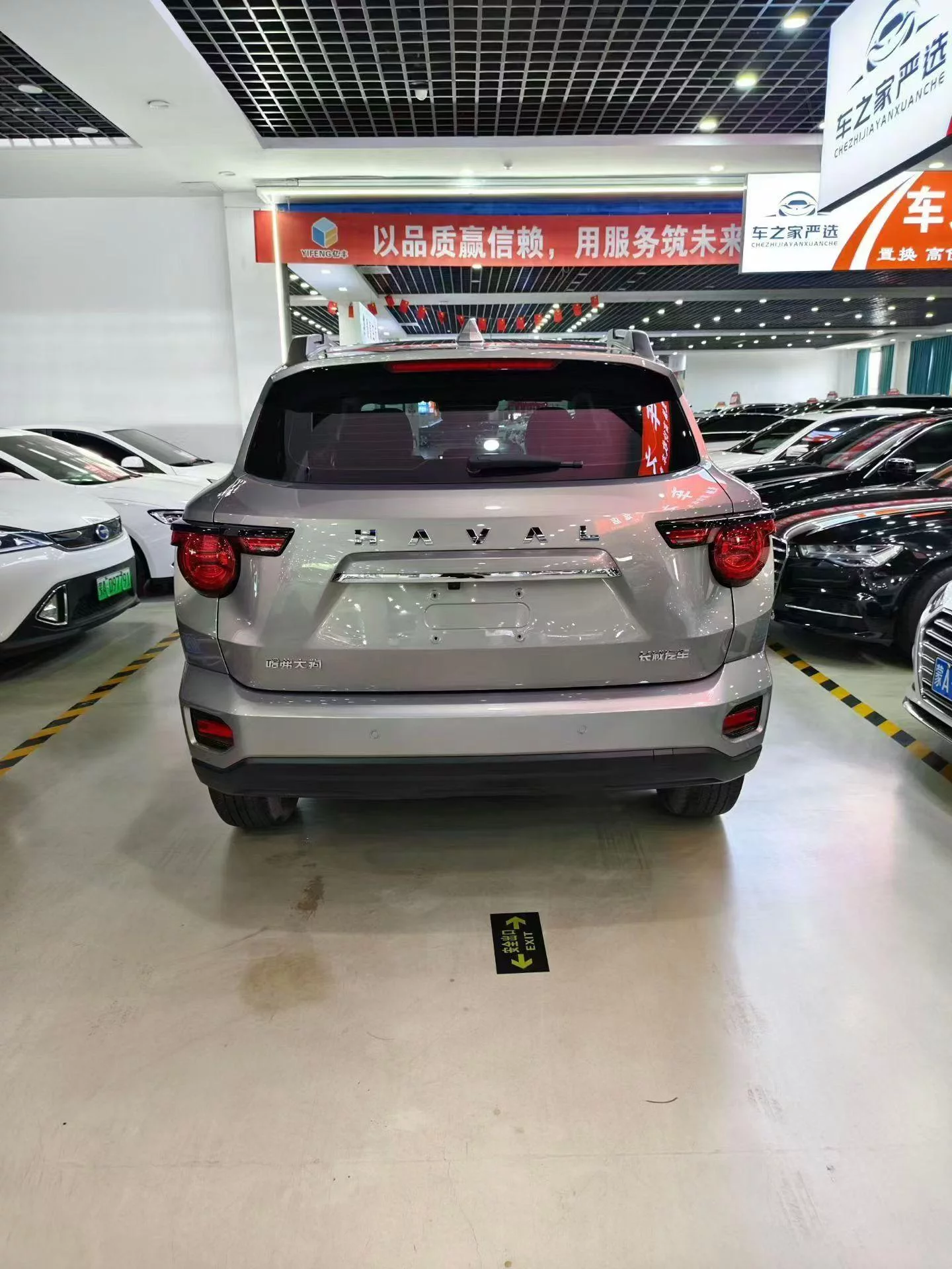 Haval H-Dog