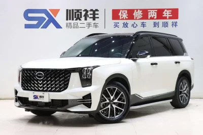 GAC Trumpchi GS8, 2024 — купить с доставкой из Китая