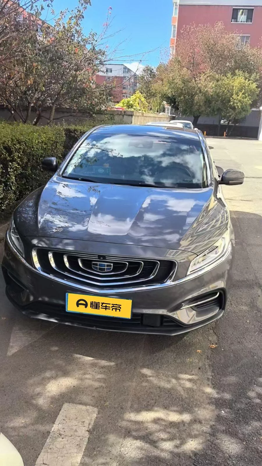 Geely Borui