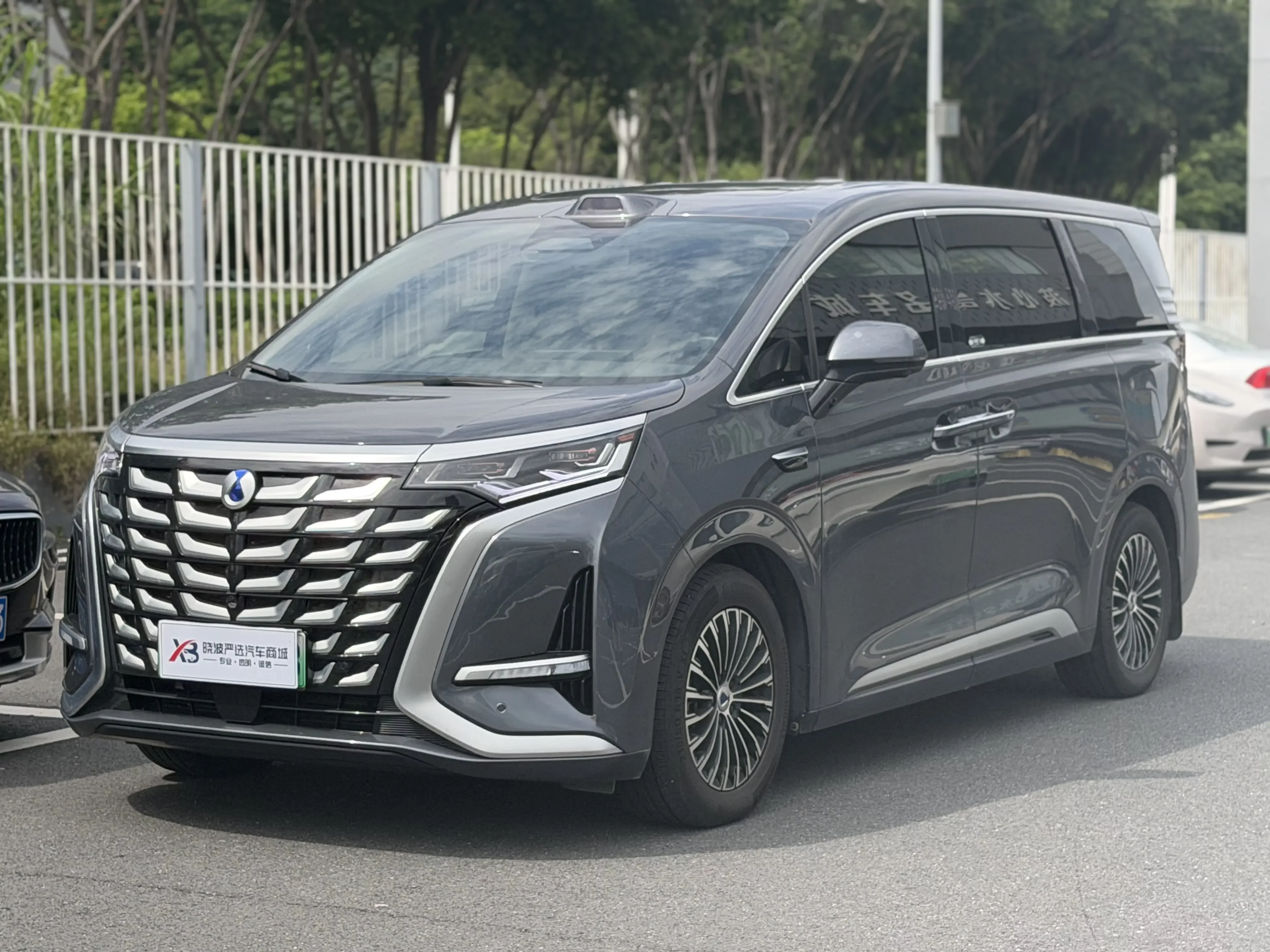 Denza D9 DM