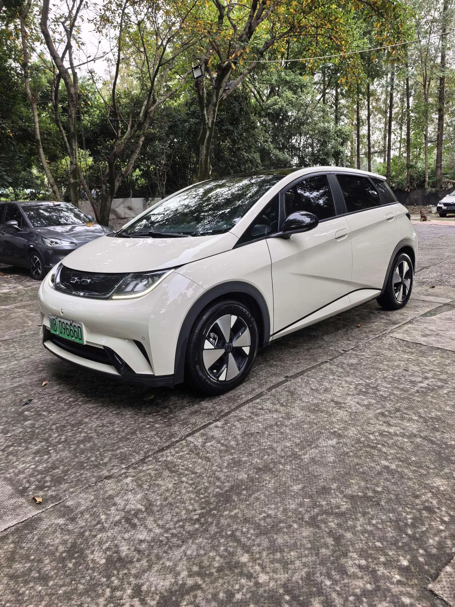 BYD DOLPHIN
