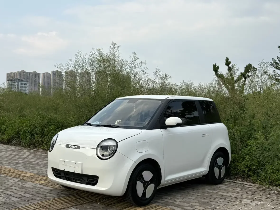 Changan Lumin