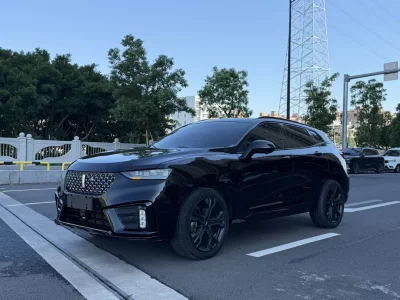 Wey Wei brand VV7
